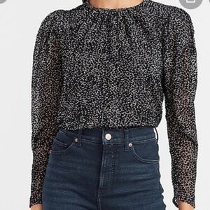 Express Puff Sleeve Velvet Witchy Blouse